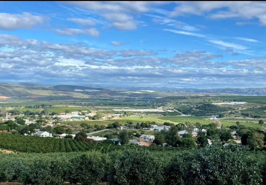 Commercial Property for Sale in Patensie Eastern Cape